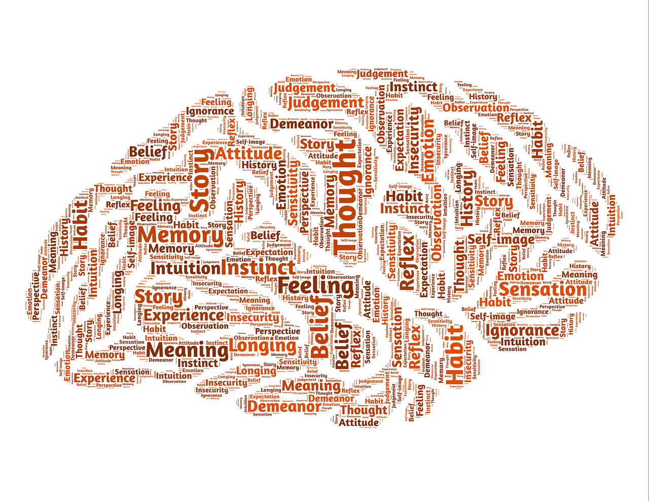 brain 544403 1280