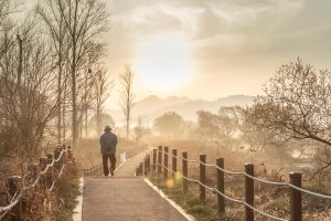 Practicing mindfulness and slowing down to enjoy simple joys of life. 